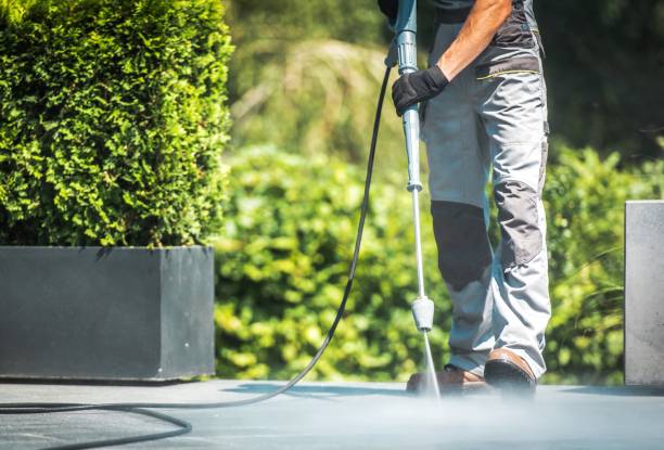 Best Spring Cleaning  in Holley, FL