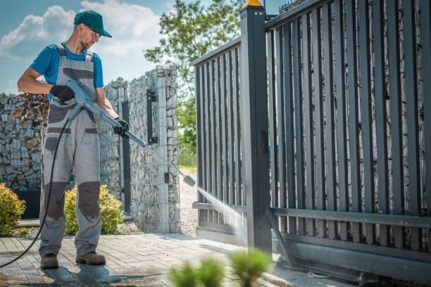 Best Graffiti Removal  in Holley, FL