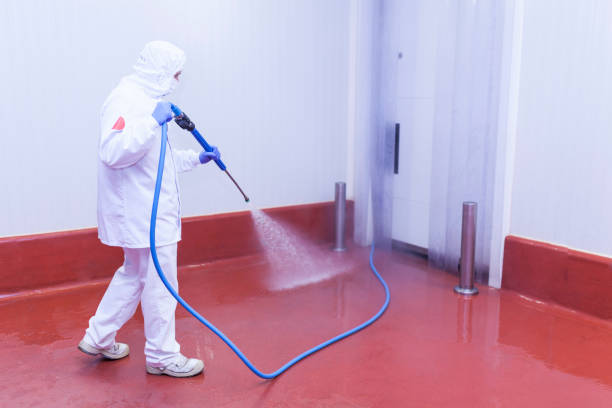 Concrete Sealing in Holley, FL