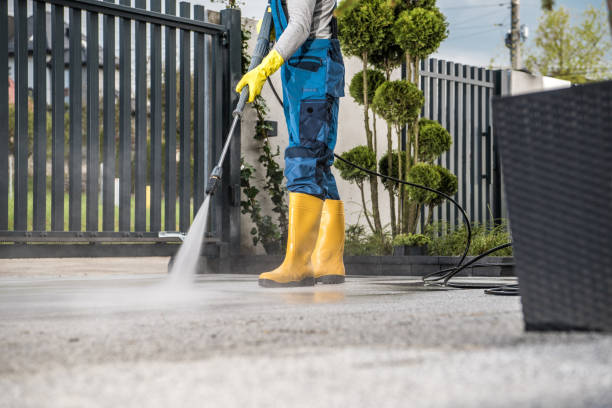 Best Driveway Pressure Washing  in Holley, FL