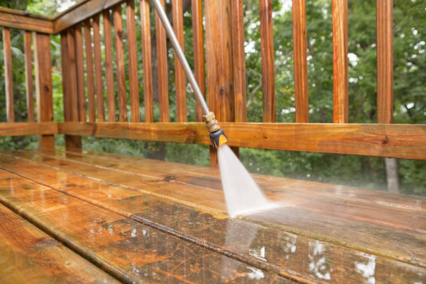 Solar Panel Cleaning in Holley, FL